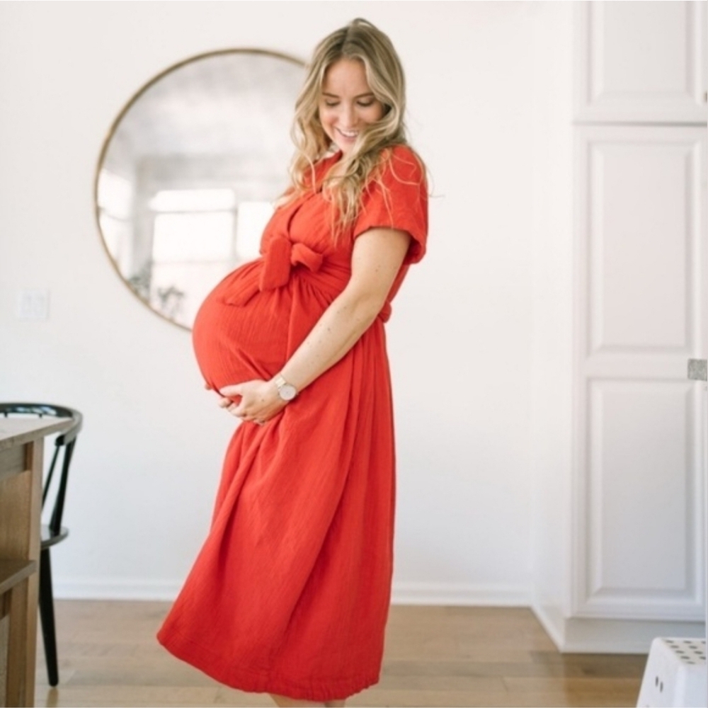 Hatch the red Carolina Dress is sz 2 ( medium )